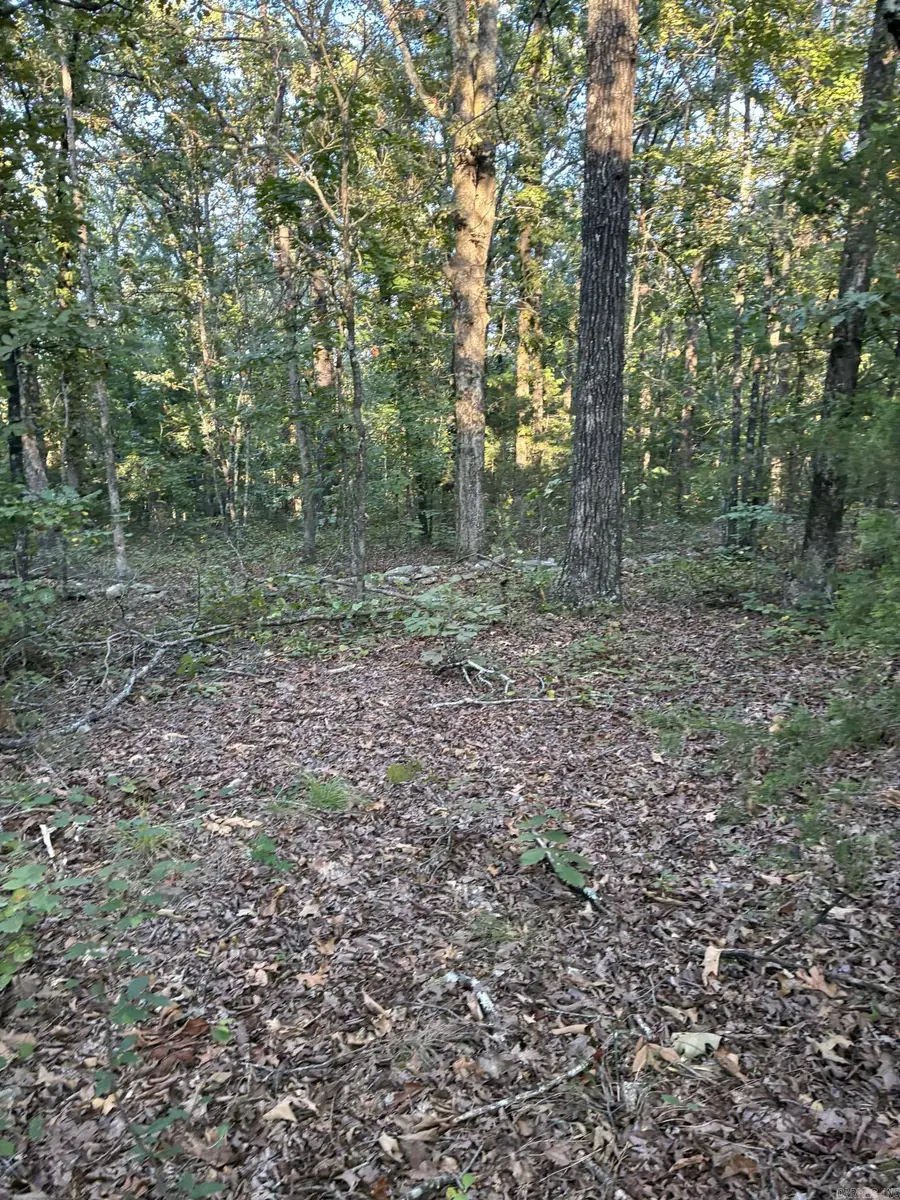 Address Withheld By Seller, Clinton, AR 72031 - #3