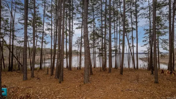 3195 Brownsville, Greers Ferry, AR 72067