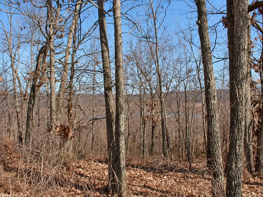 Lot 48 Crappie Lane, Conway, AR 72032 - #3