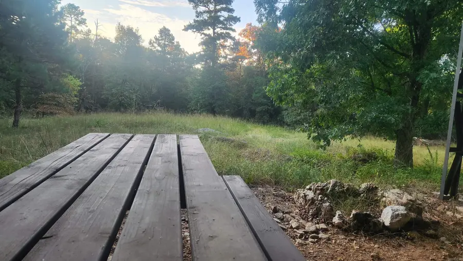 4682 E Hwy 88, Sims, AR 71969 - #2