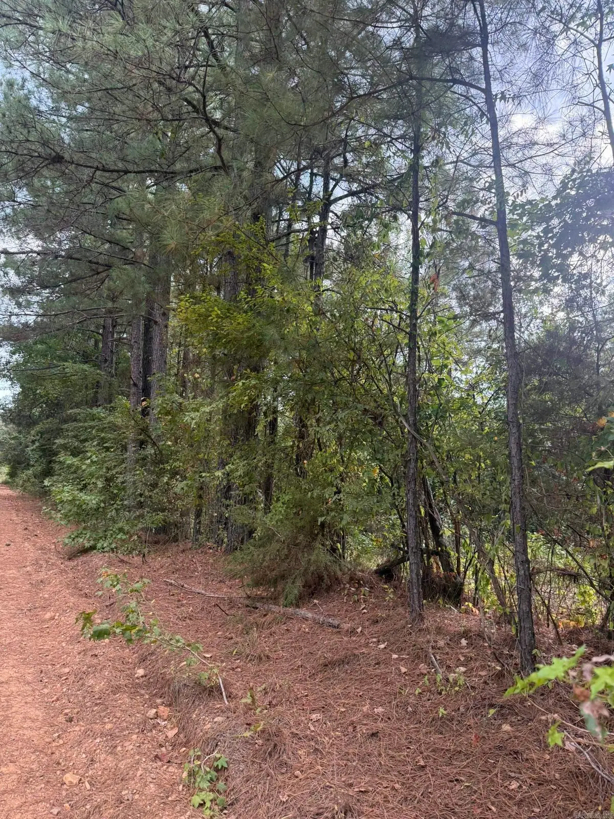434 Hempstead 48, Columbus, AR 71831 - #1