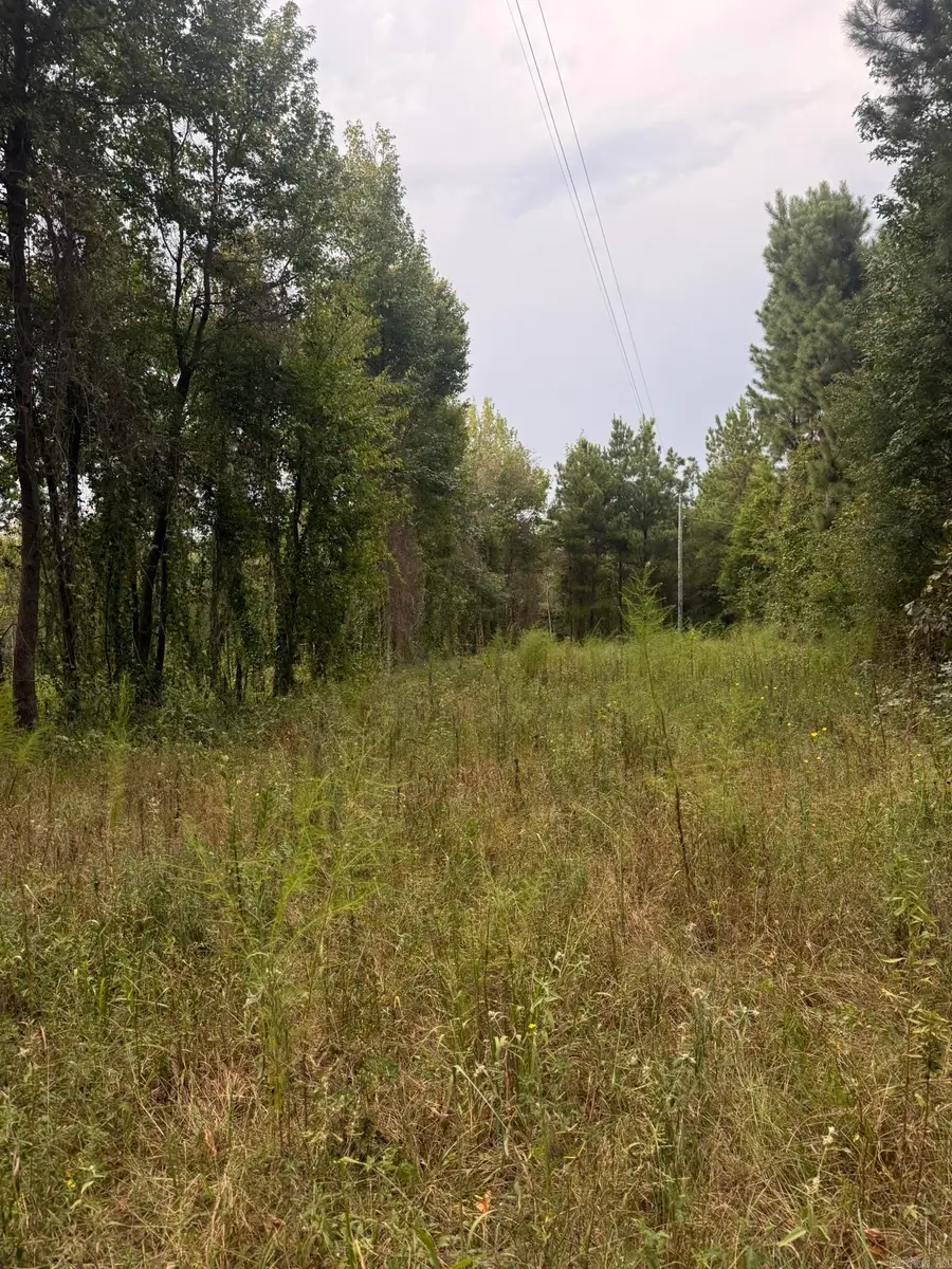 434 Hempstead 48, Columbus, AR 71831 - #3