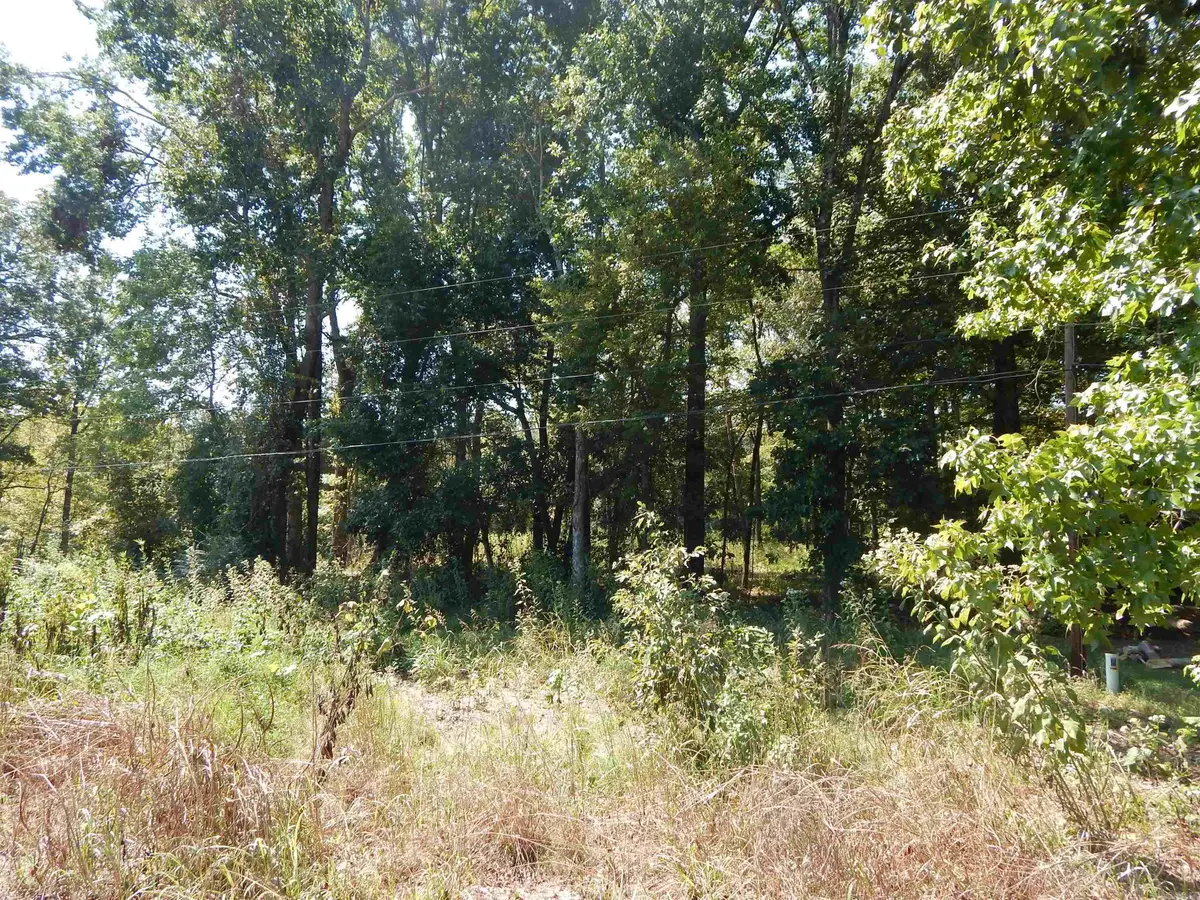 Lot 28 Cooterneck Road, Heber Springs, AR 72543 - #1