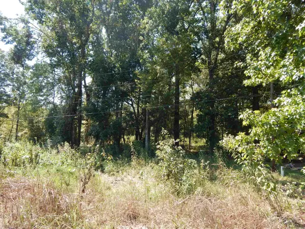 Lot 28 Cooterneck Road, Heber Springs, AR 72543
