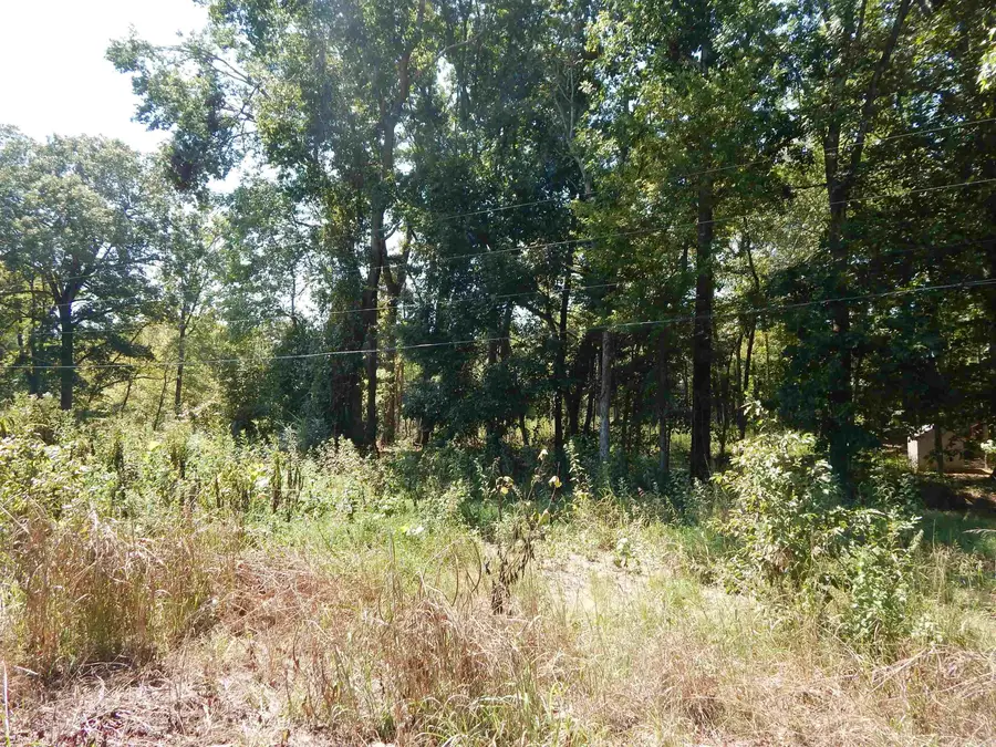 Lot 28 Cooterneck Road, Heber Springs, AR 72543 - #3