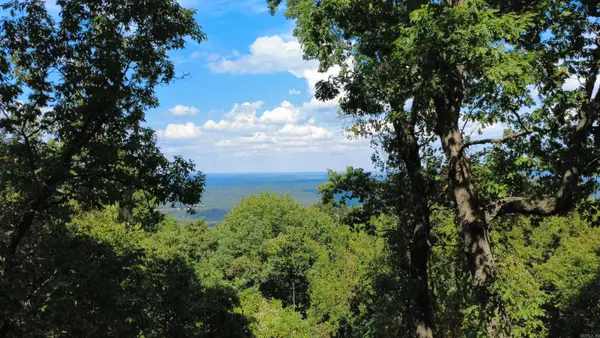 4520 Iron Mountain Road, Mountain View, AR 72560