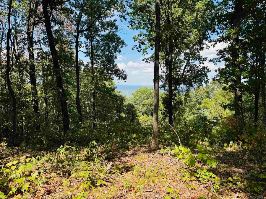 4520 Iron Mountain Road, Mountain View, AR 72560 - #2