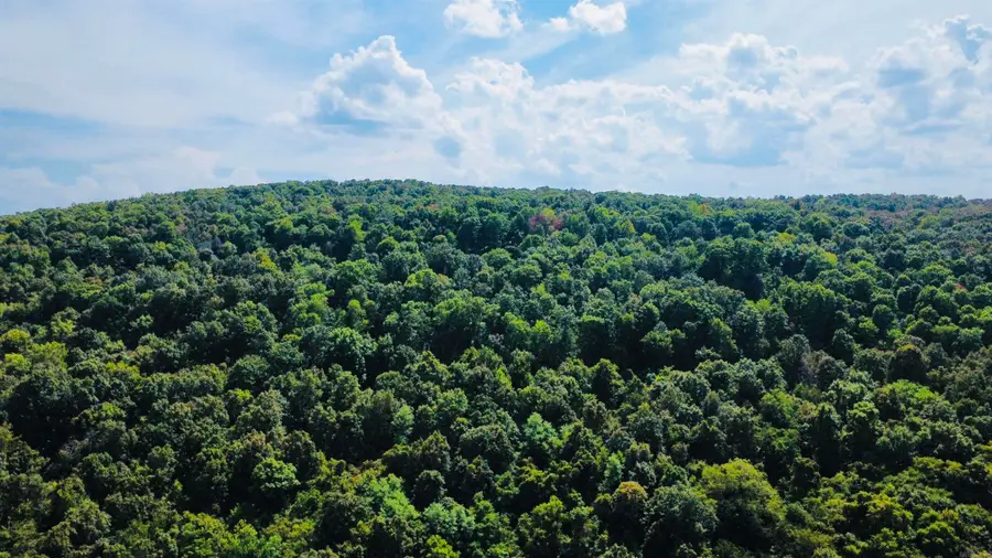 4520 Iron Mountain Road, Mountain View, AR 72560 - #3