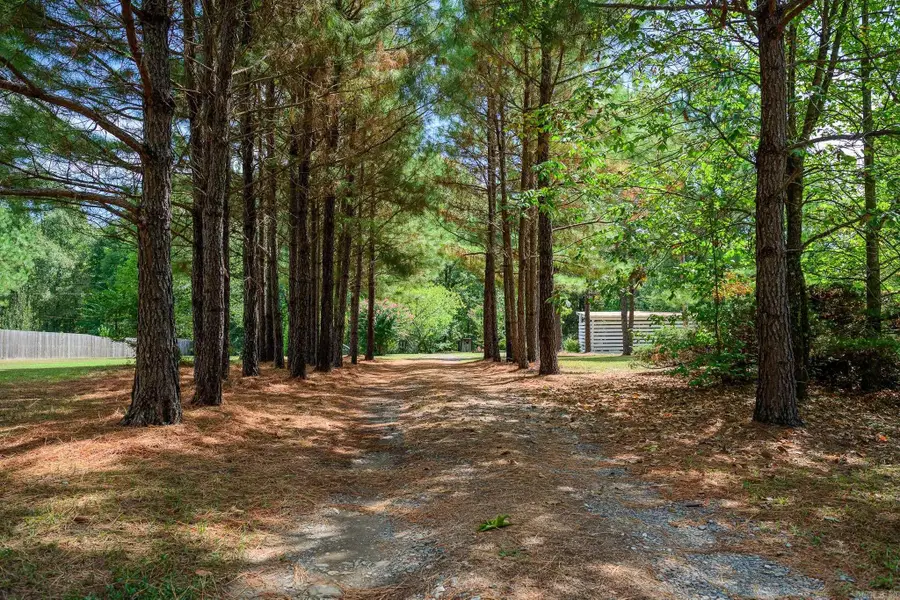 156 River Ln, Mena, AR 71953 - #3