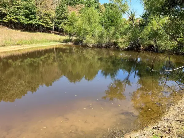 TBD Tract 2 Thompson Creek Ln Lane, Mena, AR 71953