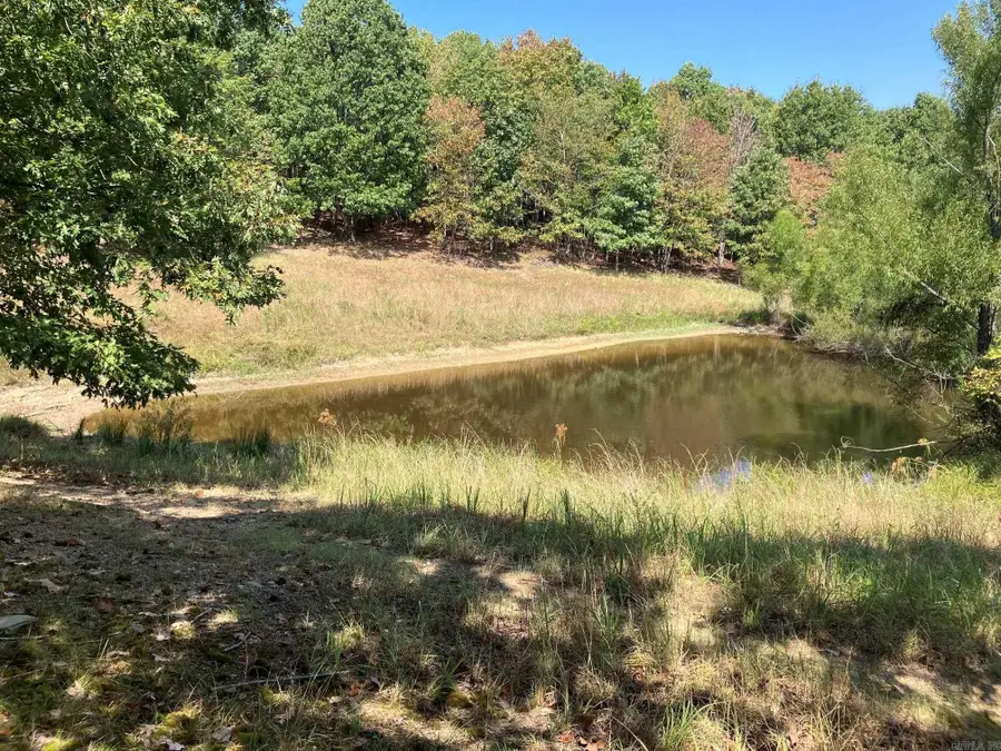 TBD Tract 2 Thompson Creek Ln Lane, Mena, AR 71953 - #2