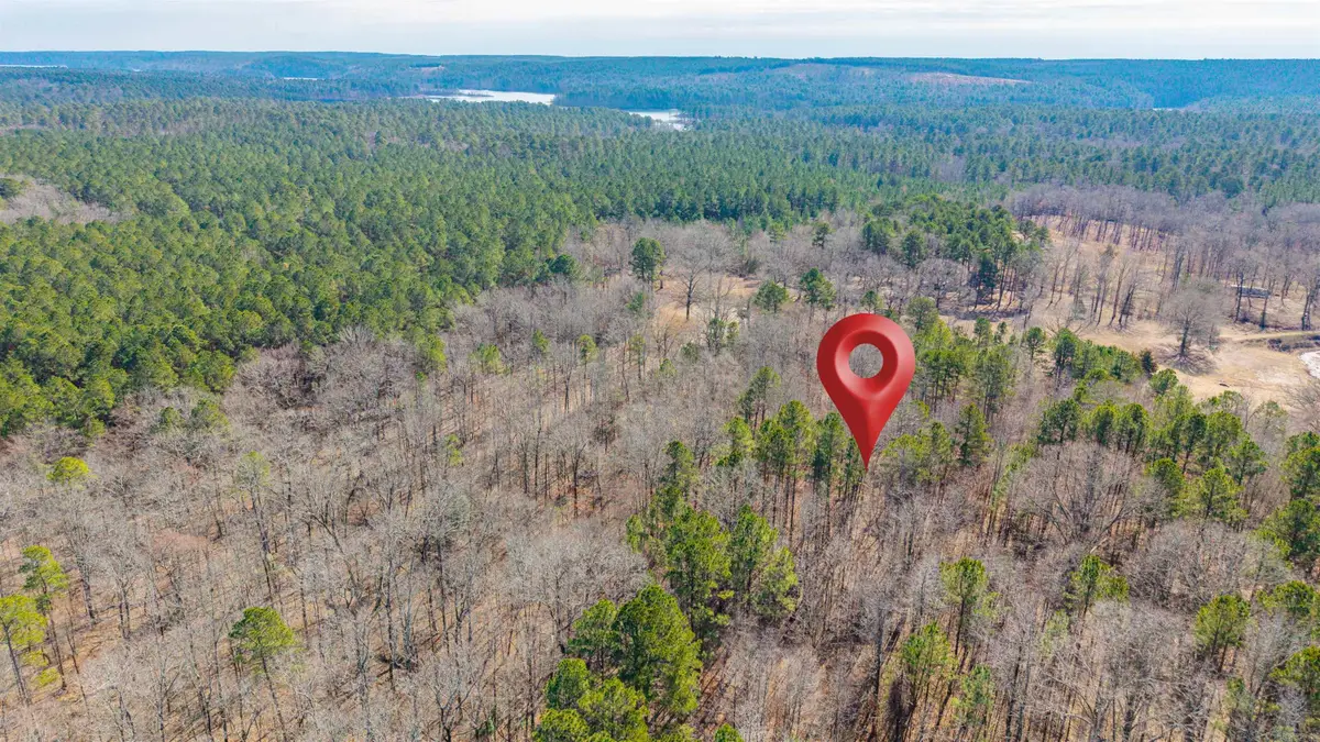 0000 Brushy Cemetery Road, Amity, AR 71921 - #1