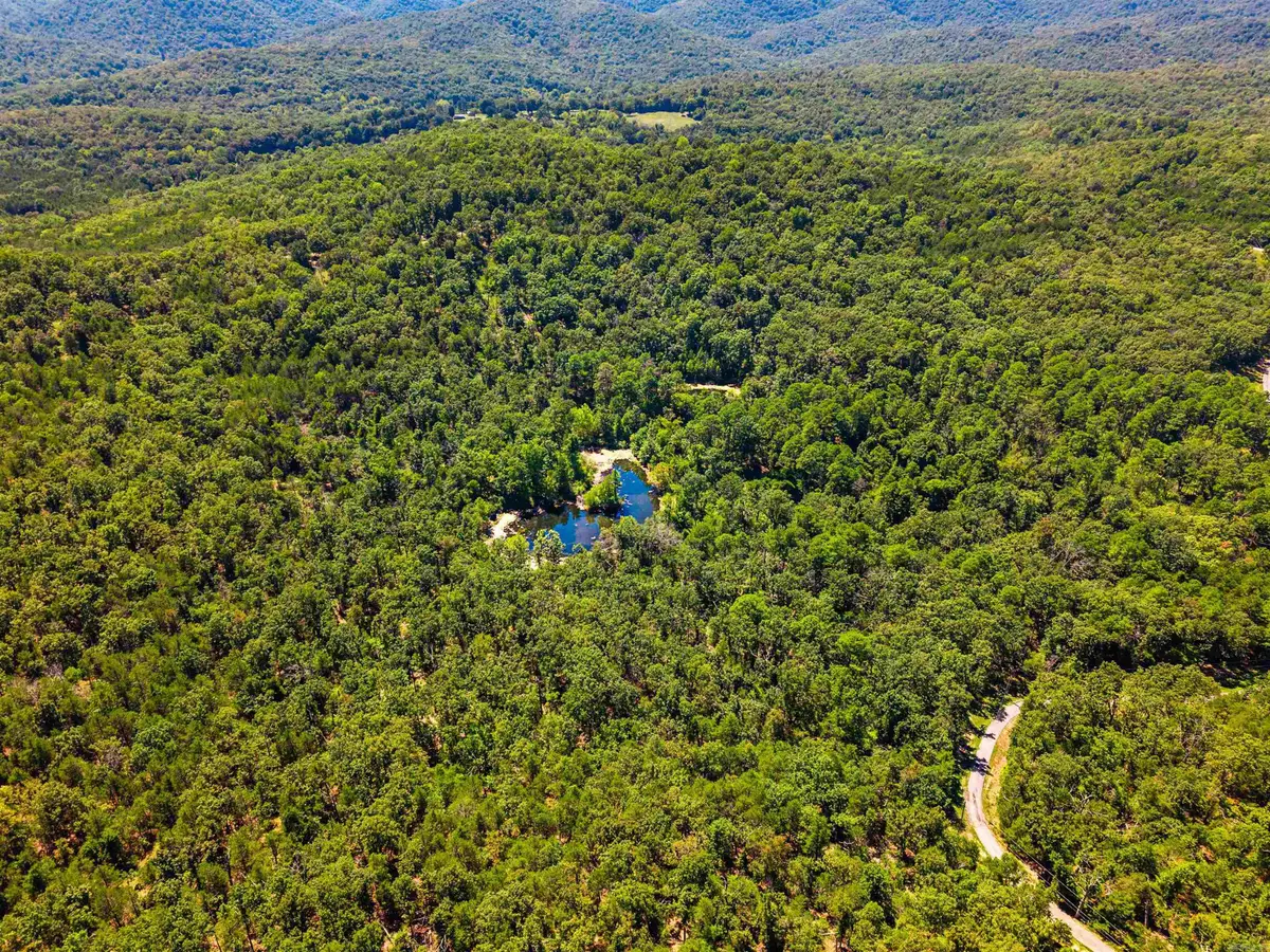 1499 Ollie Mountain Lane, Flippin, AR 72634 - #1