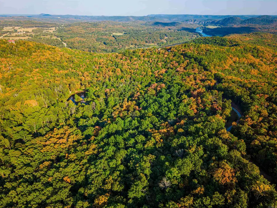 1499 Ollie Mountain Lane, Flippin, AR 72634 - #3