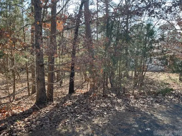 5 Resplandor Court, Hot Springs Village, AR 71909 - #1