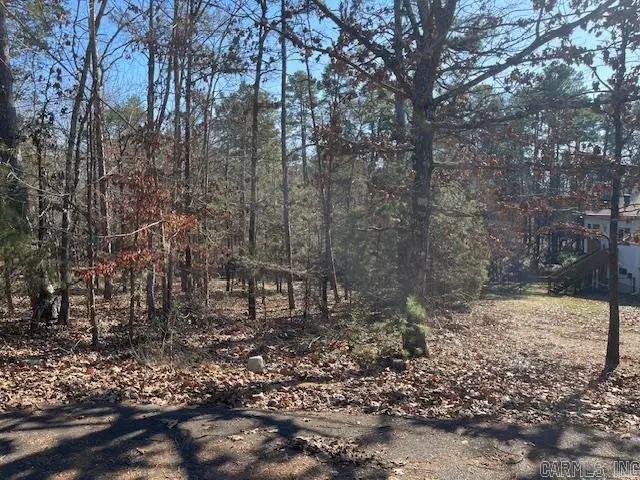 5 Resplandor Court, Hot Springs Village, AR 71909 - #2