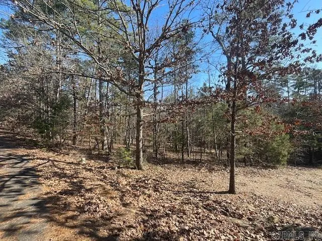 5 Resplandor Court, Hot Springs Village, AR 71909 - #3