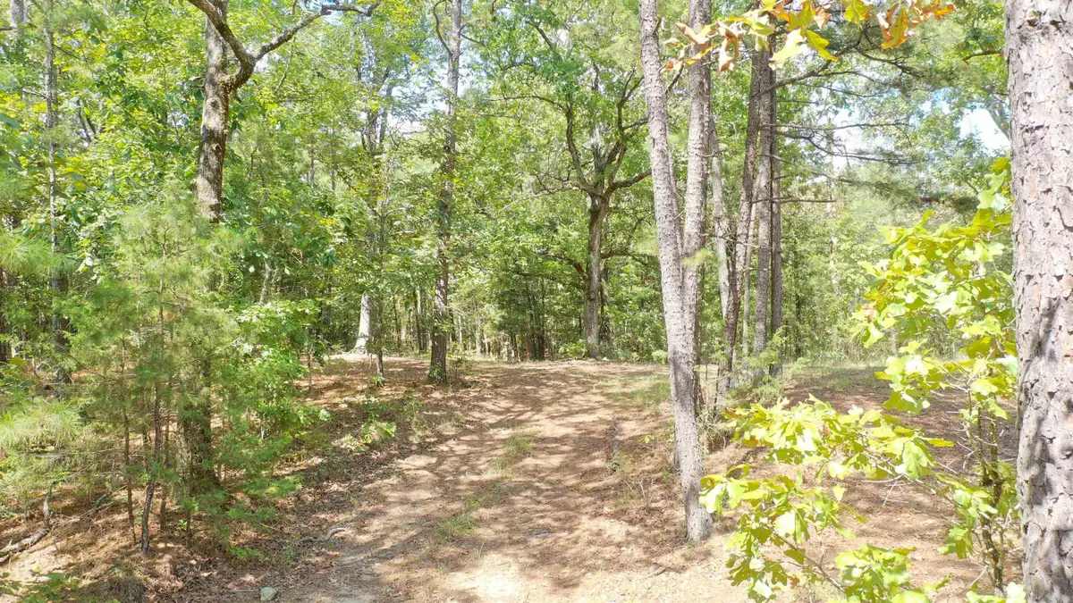 Address Withheld By Seller, Mena, AR 71953 - #1