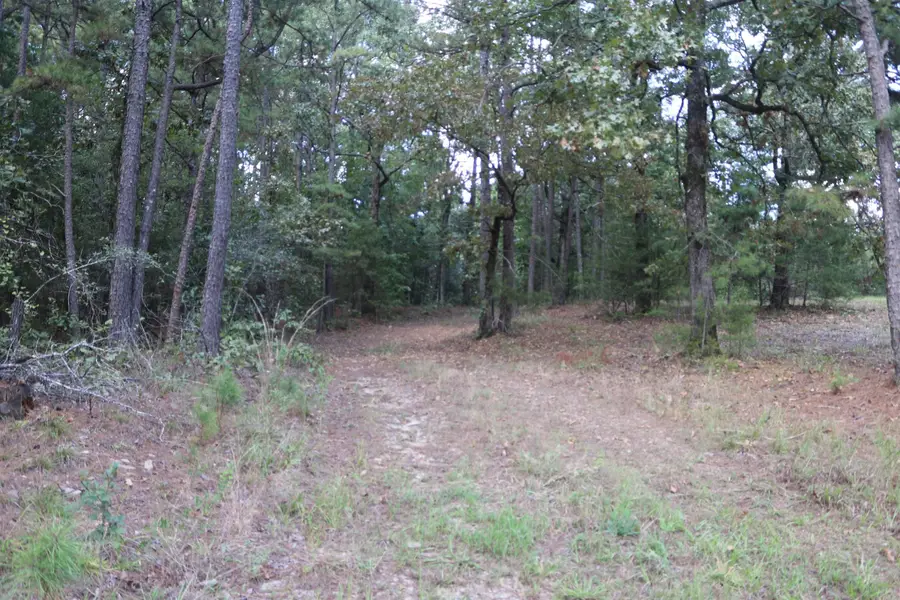Address Withheld By Seller, Mena, AR 71953 - #3