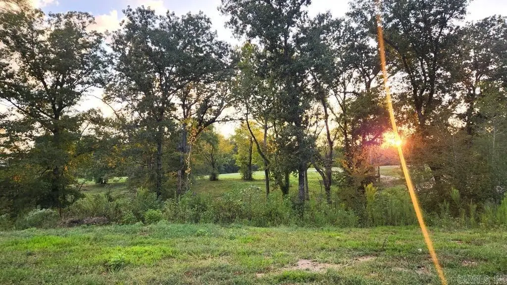 XXX (Tract 02) Wilde Pond, Story, AR 71970 - #1