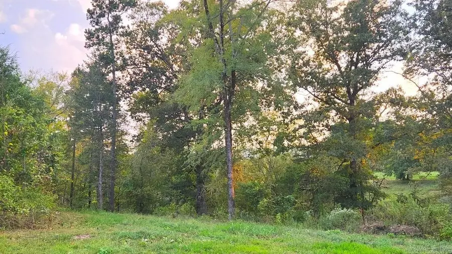 XXX (Tract 02) Wilde Pond, Story, AR 71970 - #3