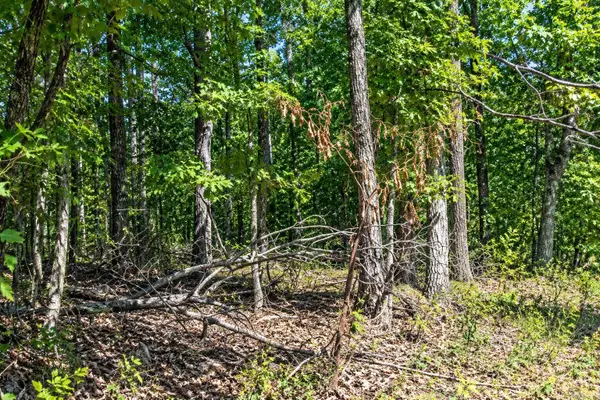 Lot 21 Cooper Point Subdivision, Mountain View, AR 72560