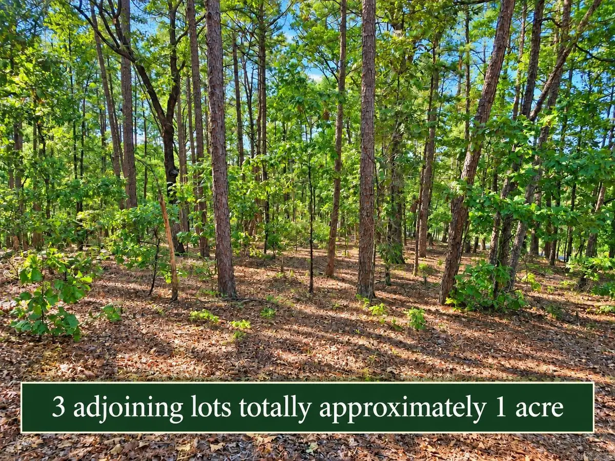 2, 4 and 6 Cobrar Place, Hot Springs Village, AR 71909 - #1