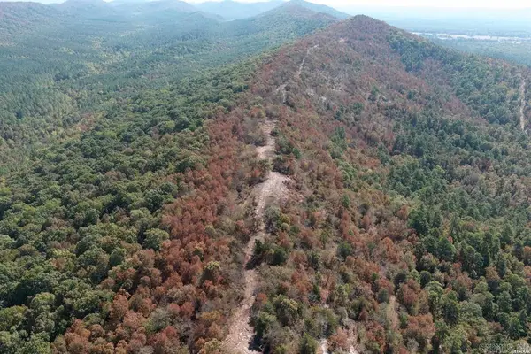 80 Acres Hall Cemetery Road, Glenwood, AR 71943