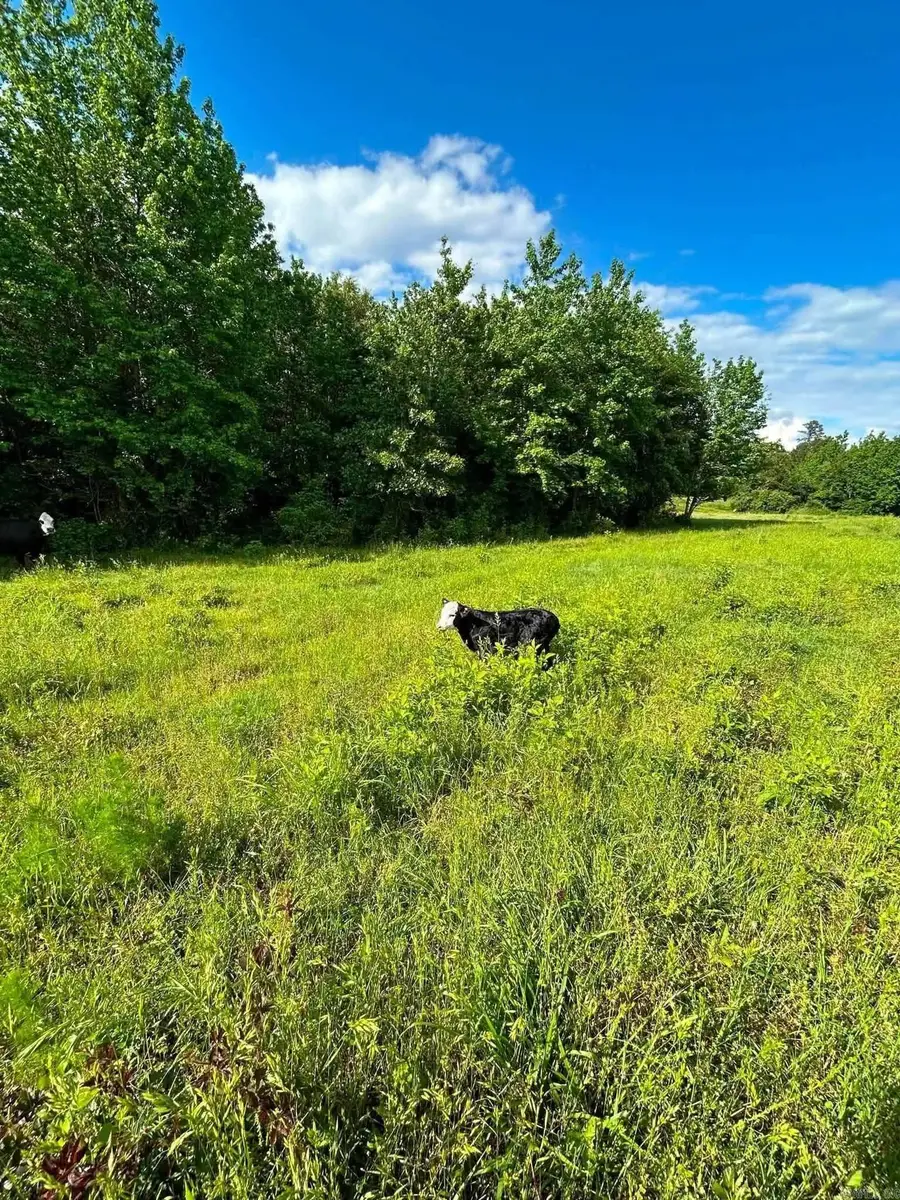 85 Acres Hwy 182, Amity, AR 71921 - #2