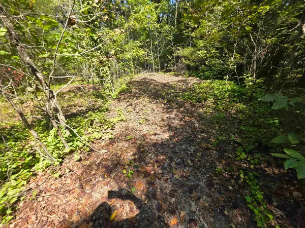 L-10 B-2 Summit Ridge Drive, Ozark Acres, AR 72482