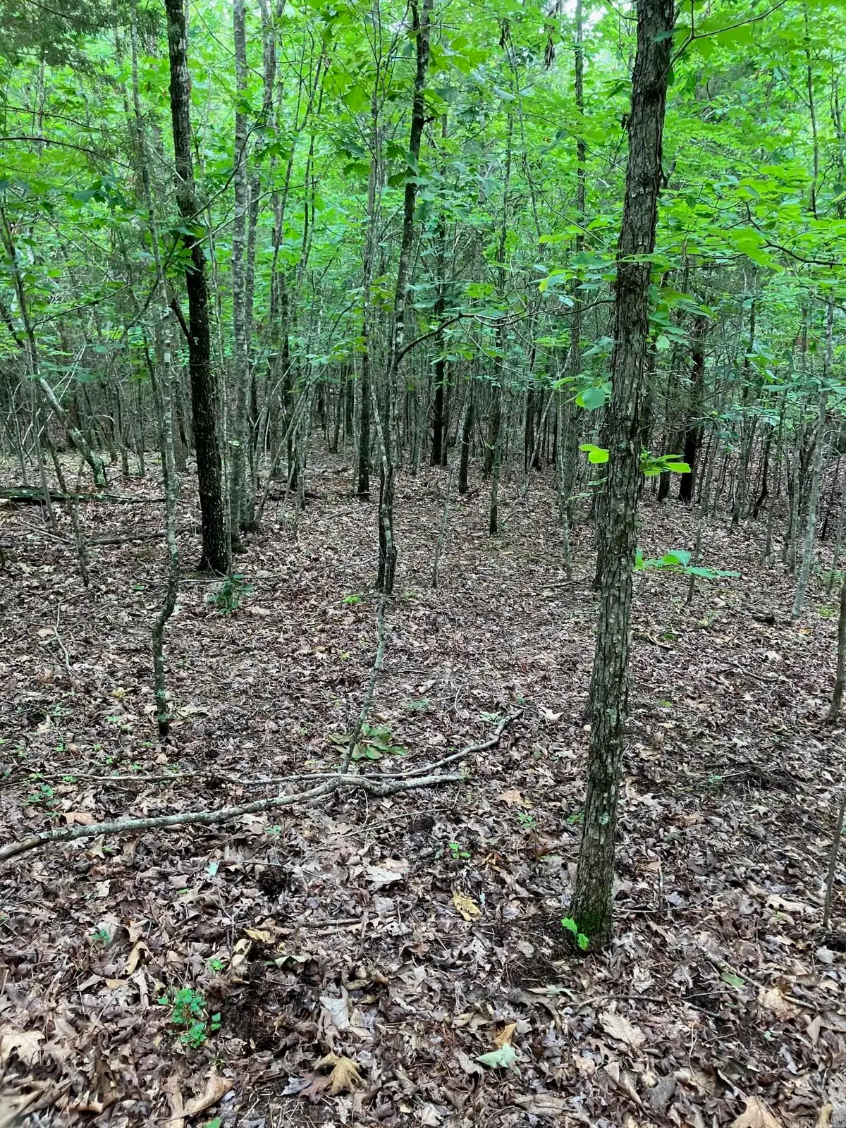 TBD 2 AC Thompson Creek Lane Lane, Mena, AR 71953 - #1