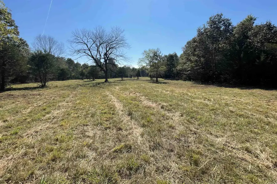 000 Ross Road, Fox, AR 72051 - #3