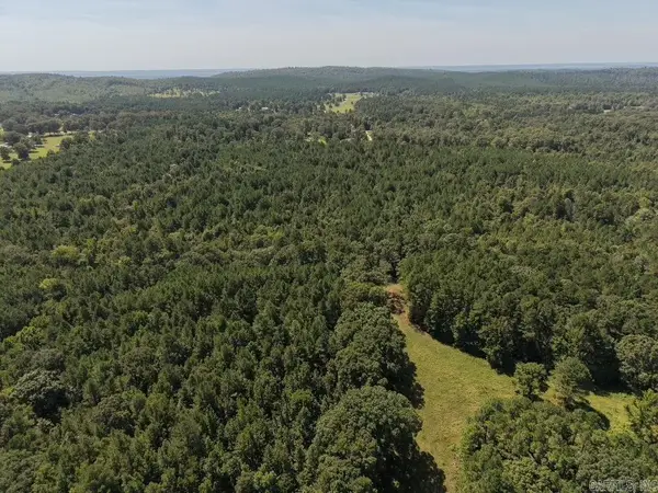 TBD Amity Road, Bonnerdale, AR 71933