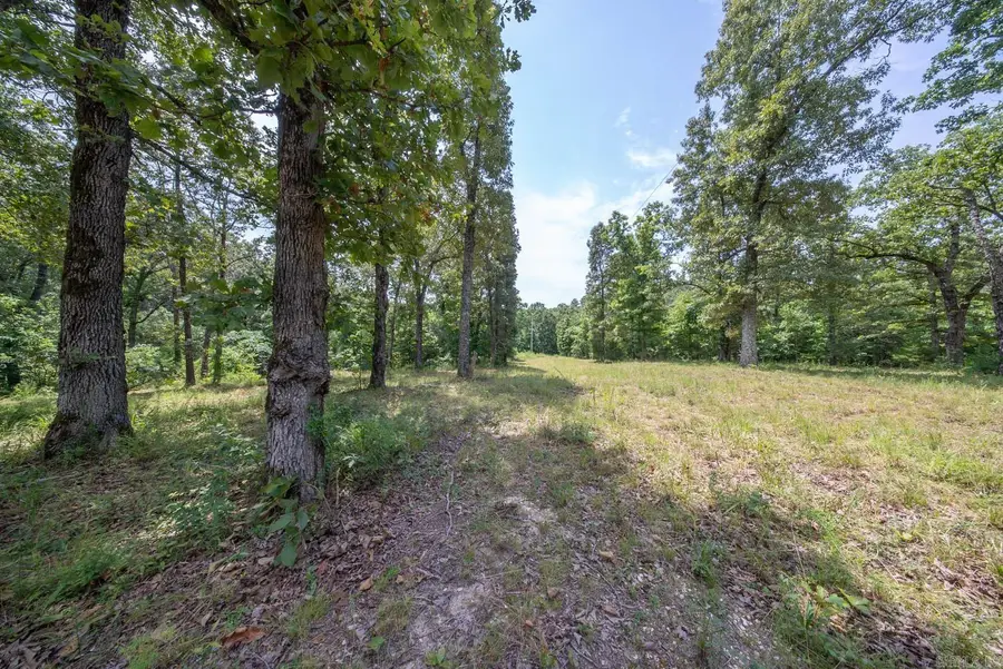 32312 U.s. Highway 160, Alton, MO 65606 - #2