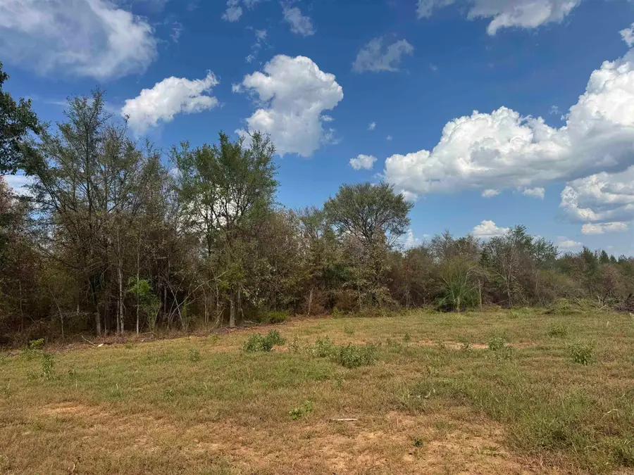 00 Brown Lane, Ozark, AR 72949 - #3