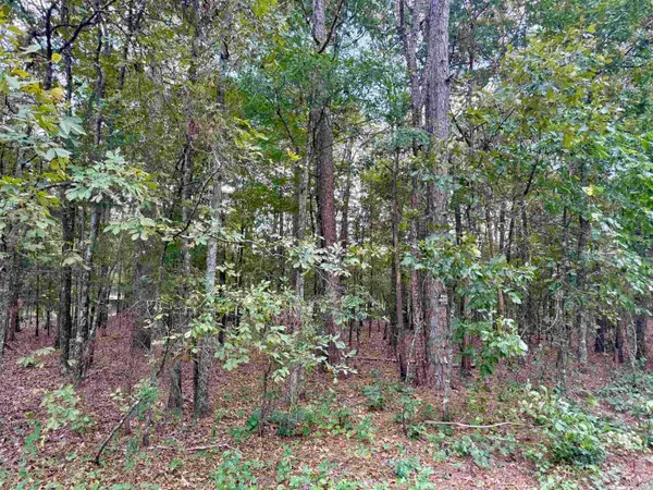 Lot 5 Ellen, Higden, AR 72067