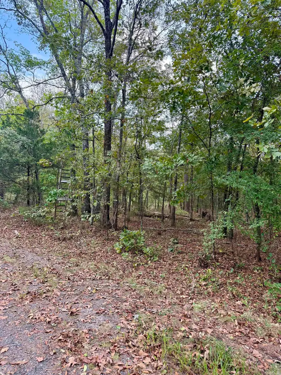 Lot 5 Ellen, Higden, AR 72067 - #3