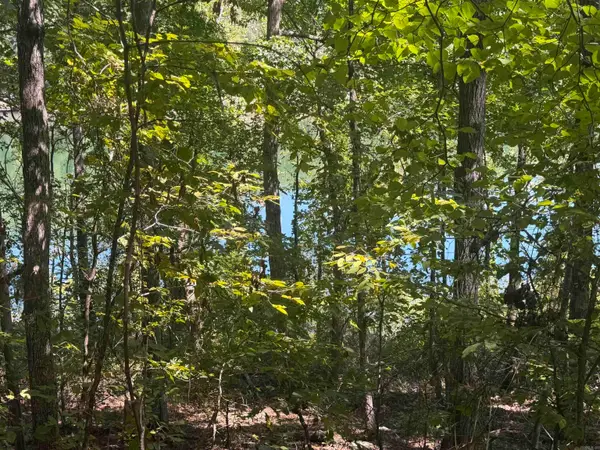 320 Lakeside Drive, Fairfield Bay, AR 72088