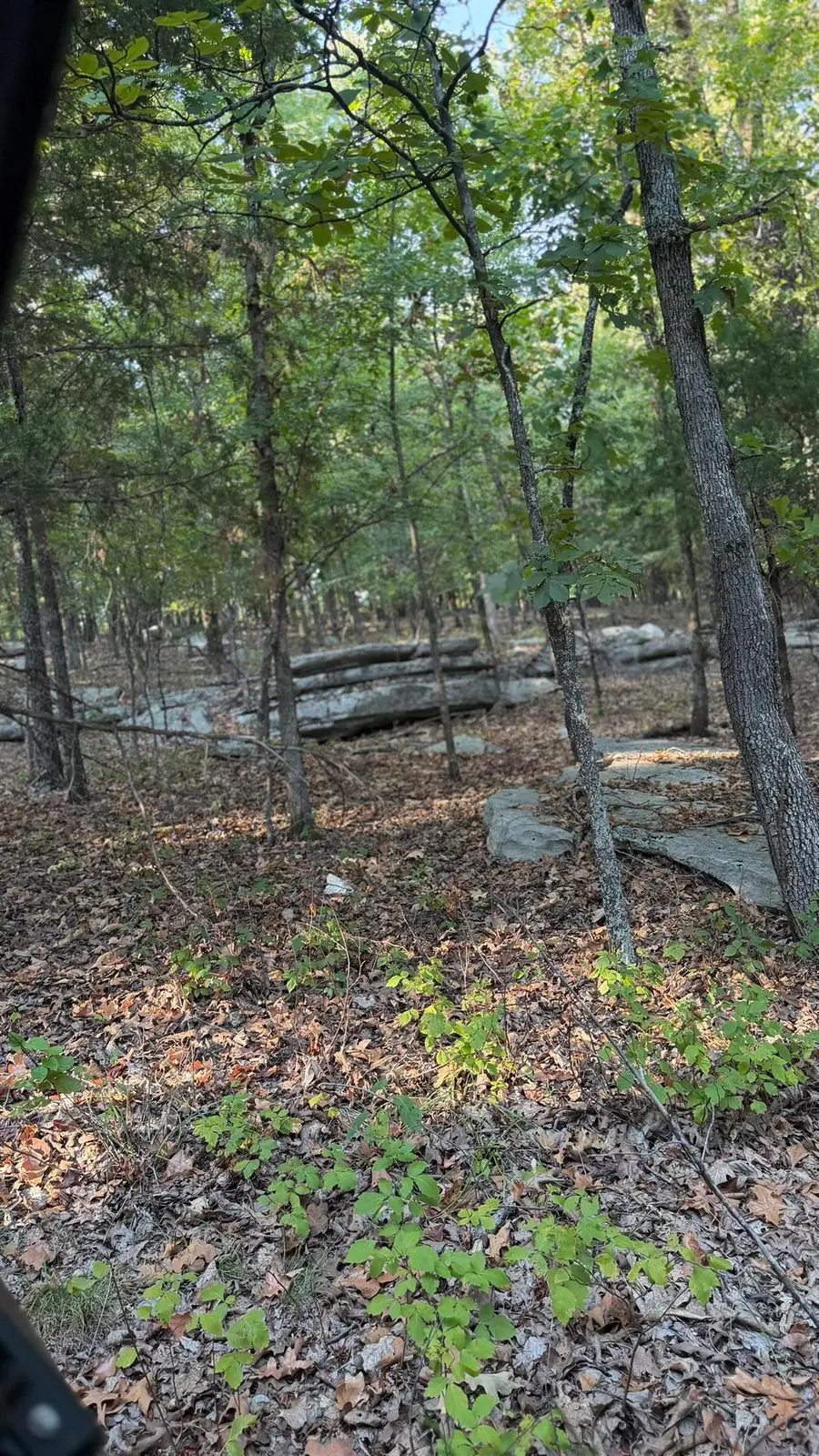 143A Dreamrider Dr., Melbourne, AR 72556 - #3
