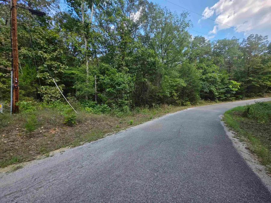 L13B6 Friar Tuck Drive, Hardy, AR 72542 - #2