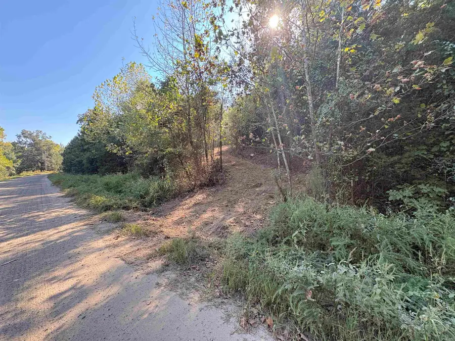 7 Acres Off Quicker Still Lane, Dover, AR 72837 - #3