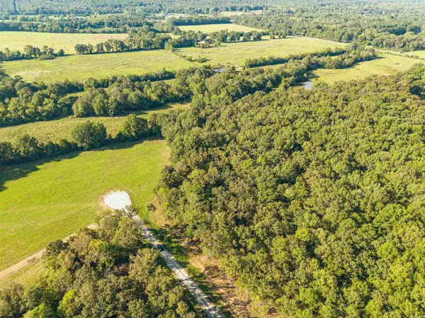 72 Holland Meadows, Vilonia, AR 72032
