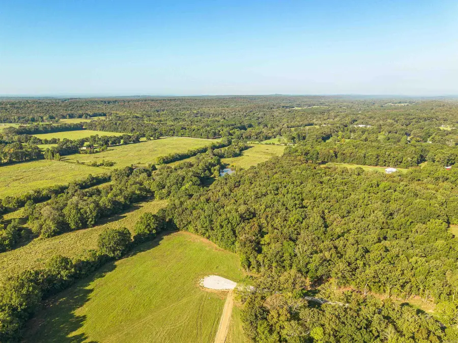 72 Holland Meadows, Harve, AR 72032 - #2