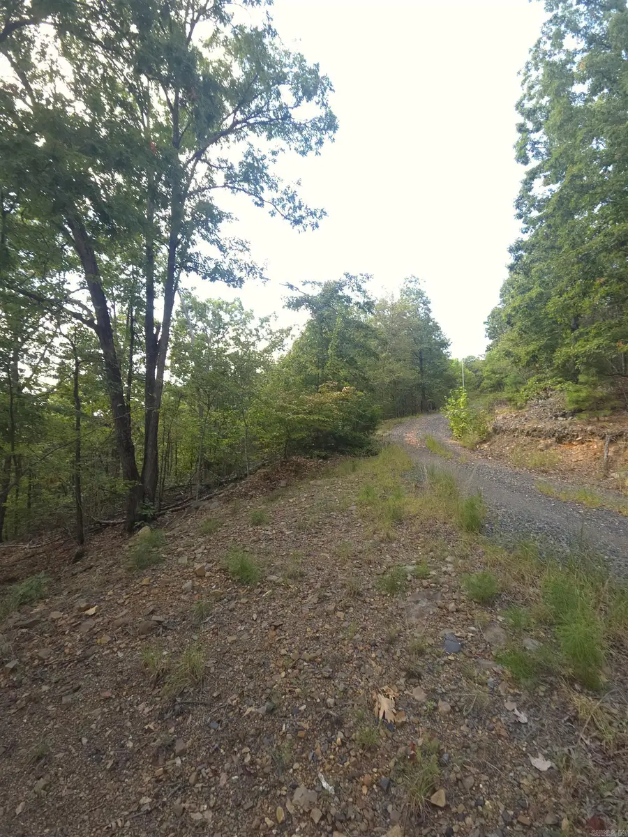 TBD Shanendoah Lane, Mena, AR 71953 - #2