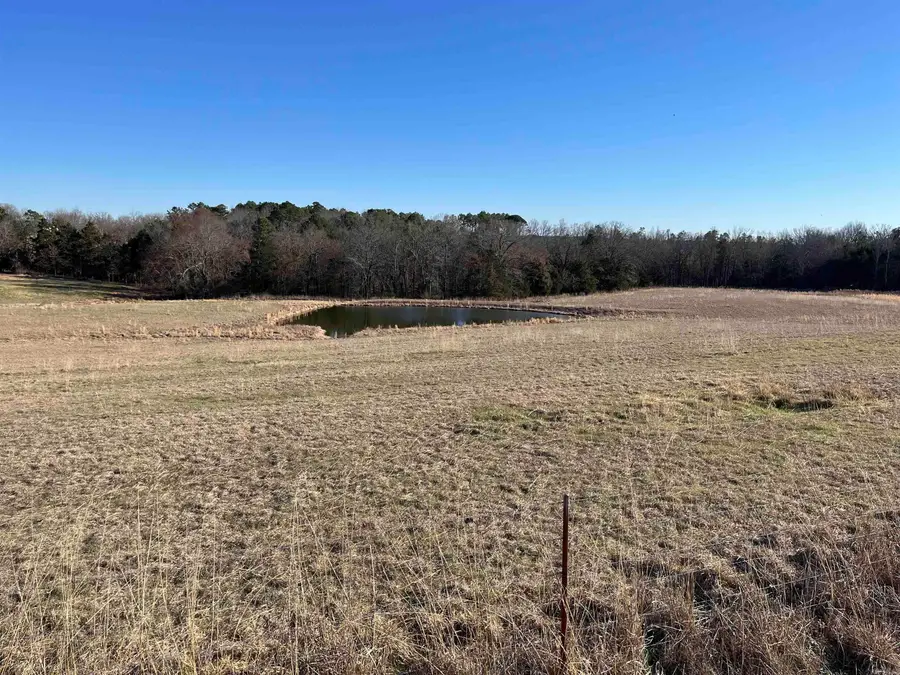 00 Spires Rd, Damascus, AR 72039 - #2