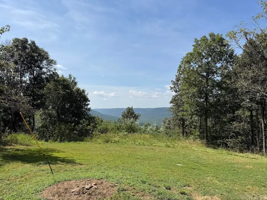 6361 Lick Fork Rd, Calf Creek, AR 72686 - #2
