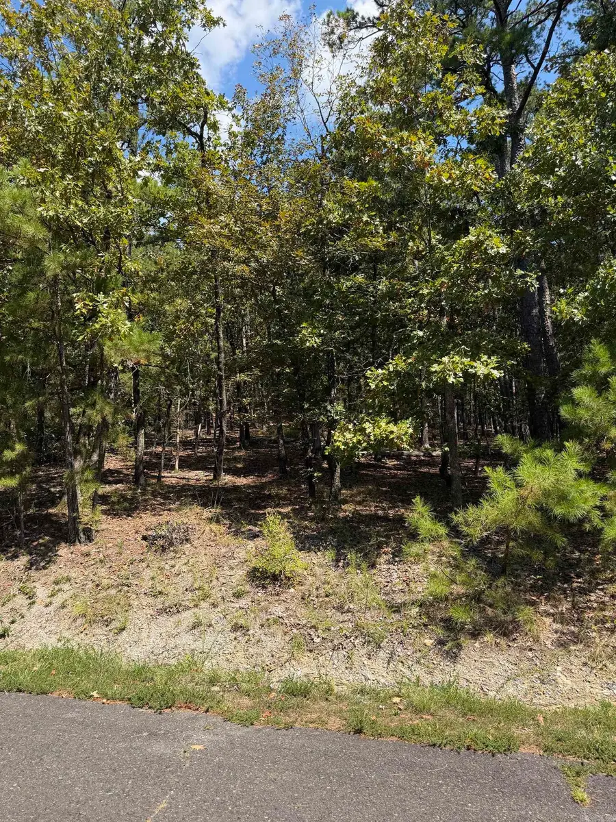 3 Ermalinda Place, Hot Springs Village, AR 71909 - #2