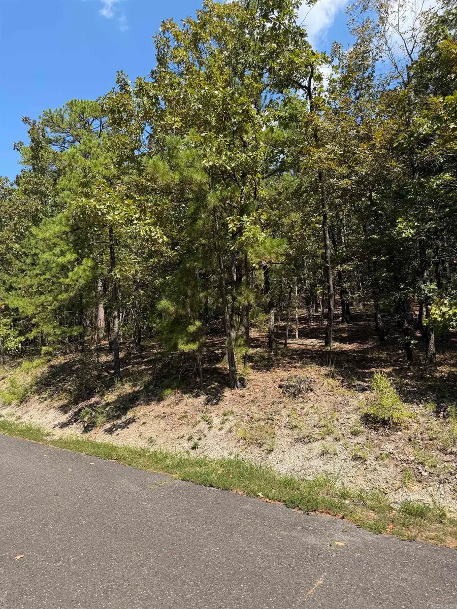 3 Ermalinda Place, Hot Springs Village, AR 71909 - #3