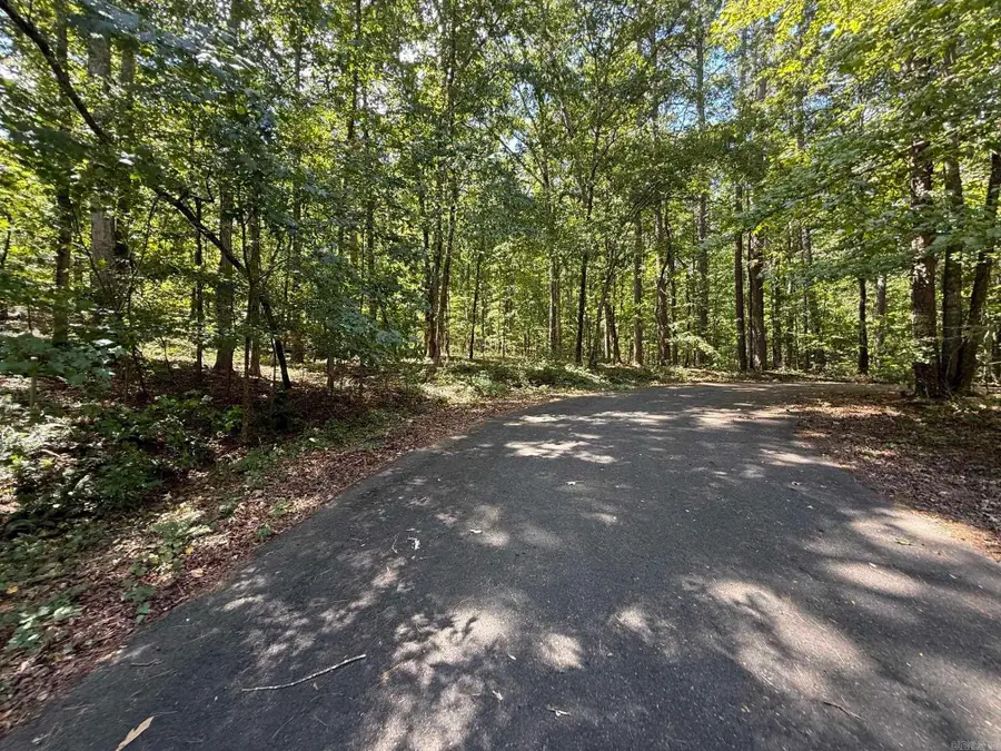 000 Lot 38, Block 4 Of Lugar Lane, Hot Springs National Park, AR 71901 - #3