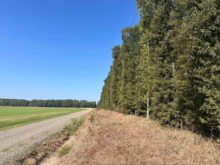 Address Withheld By Seller, McRae, AR 72102 - #2